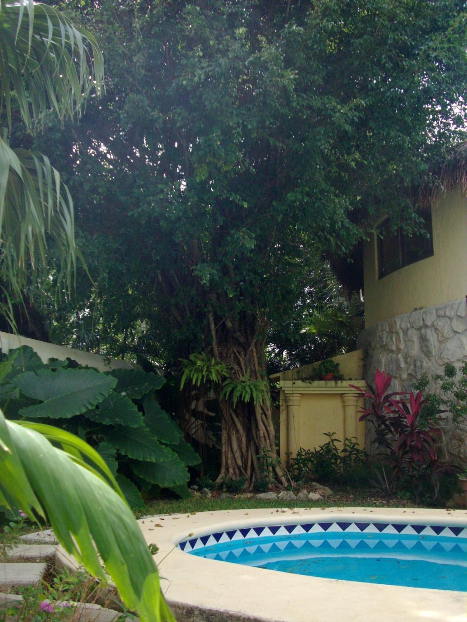 Residencia Los Encantos Канкун Екстер'єр фото